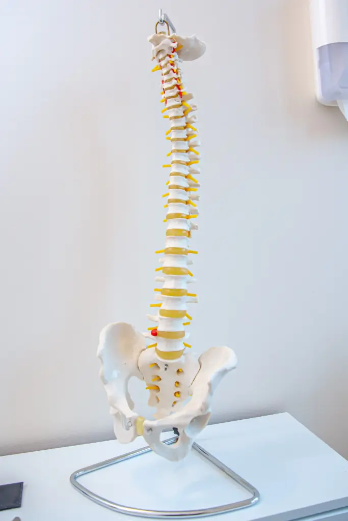 Krankengymnastik für die Wirbelsäule bei Physio Sport Plus in Düsseldorf